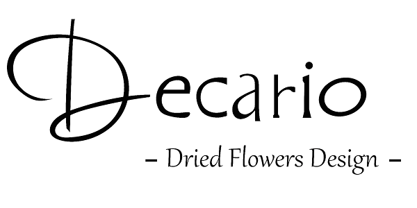 Decario Logo